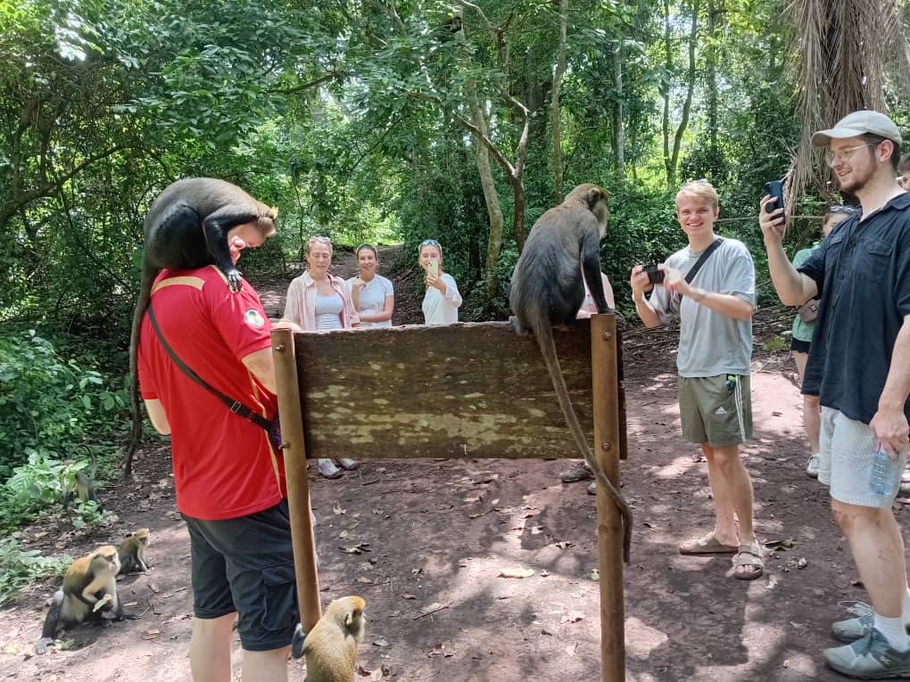 photo_2026-02-12_14-31-10