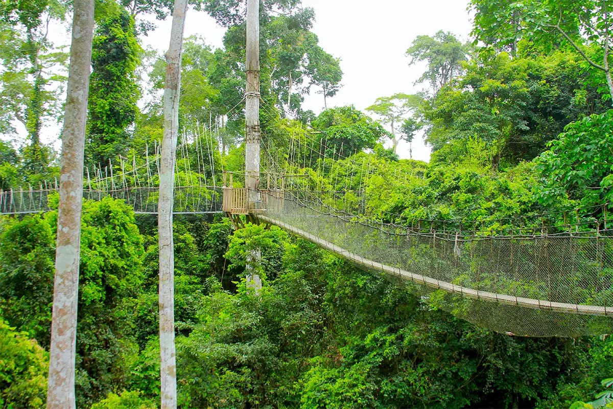 photo_2026-02-12_01-04-09