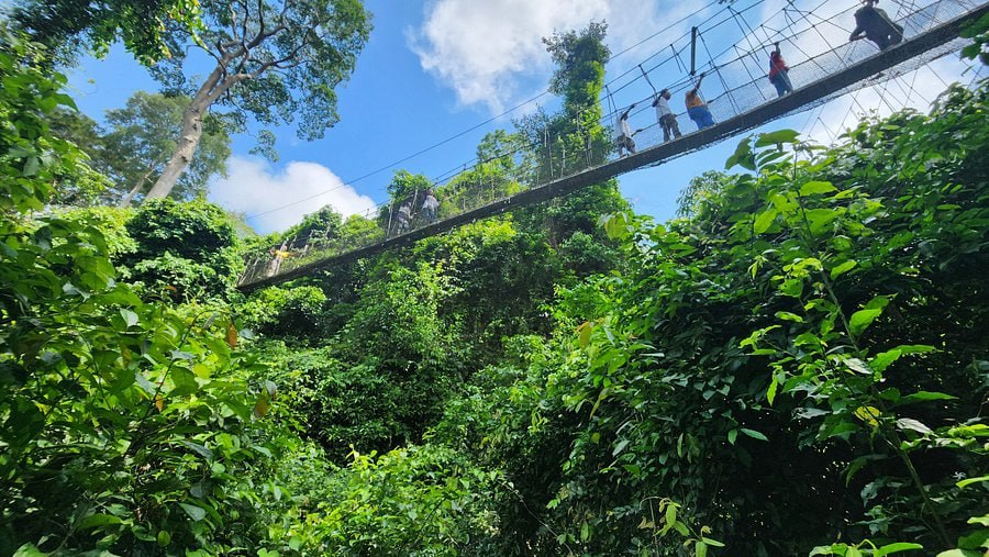 photo_2026-02-12_01-04-13