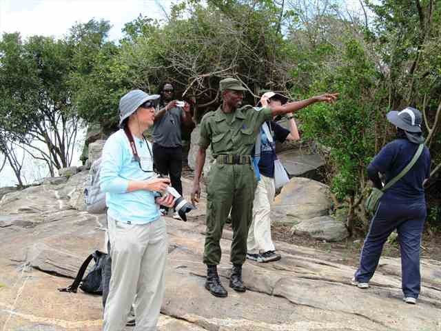 photo_2026-02-12_01-04-46