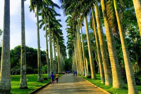 photo_2026-02-12_01-05-04