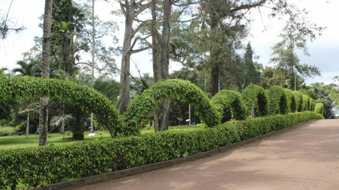 photo_2026-02-12_01-05-11