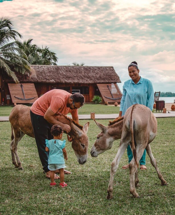 photo_2026-02-12_01-05-30