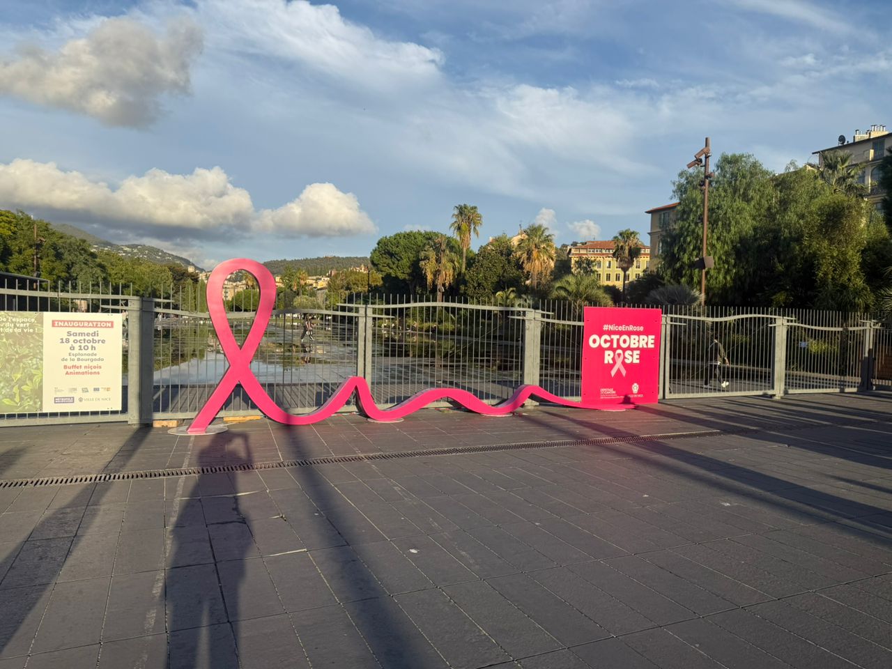 photo_2026-02-12_13-34-57