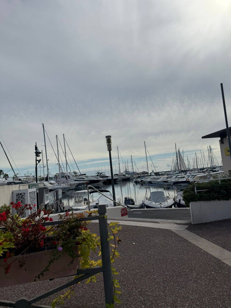 photo_2026-02-12_13-37-12