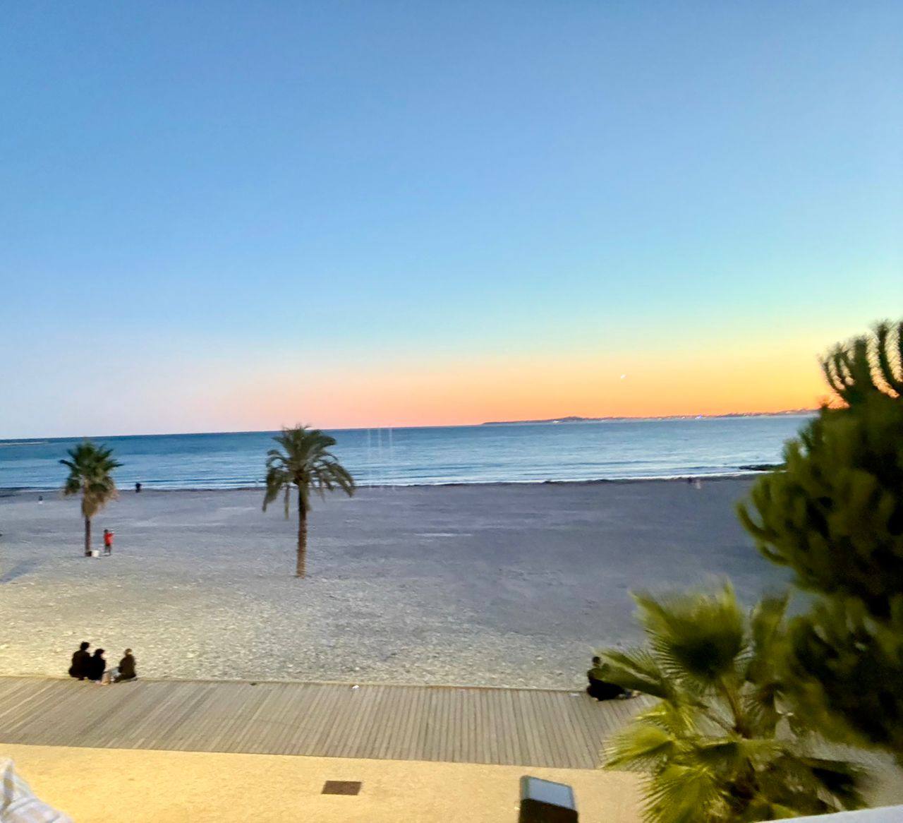 photo_2026-02-12_15-20-19