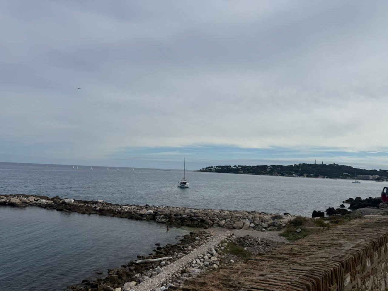 photo_2026-02-12_15-21-13